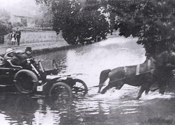 Horse rescuing old car from flooded road